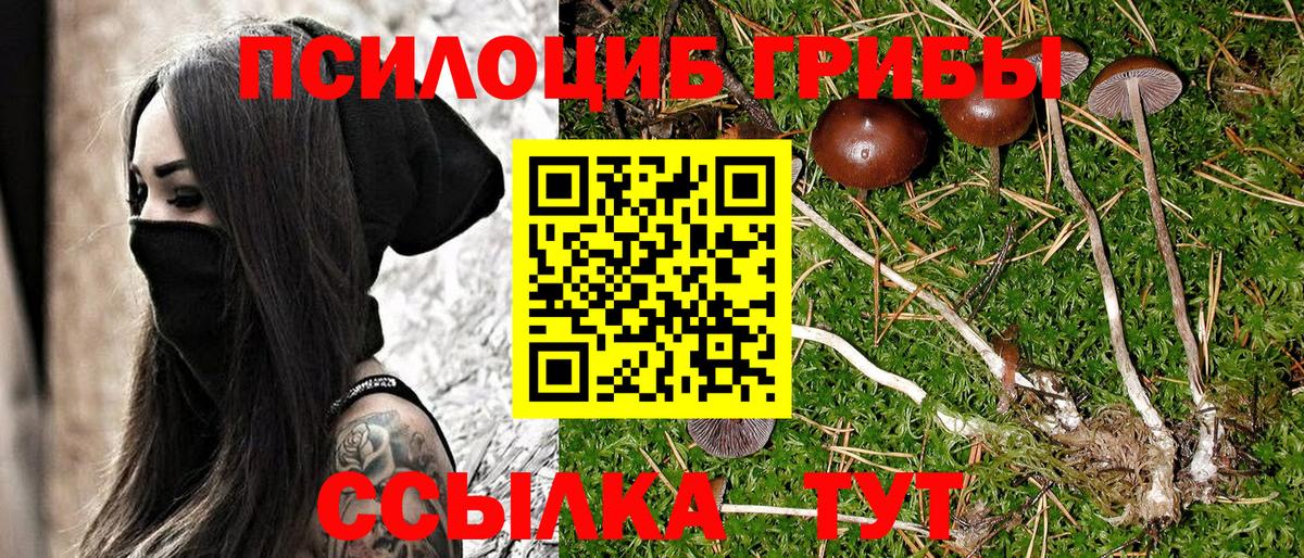 Ирбит  Галлюциногенные грибы GOLDEN TEACHER  Вход с VPN 